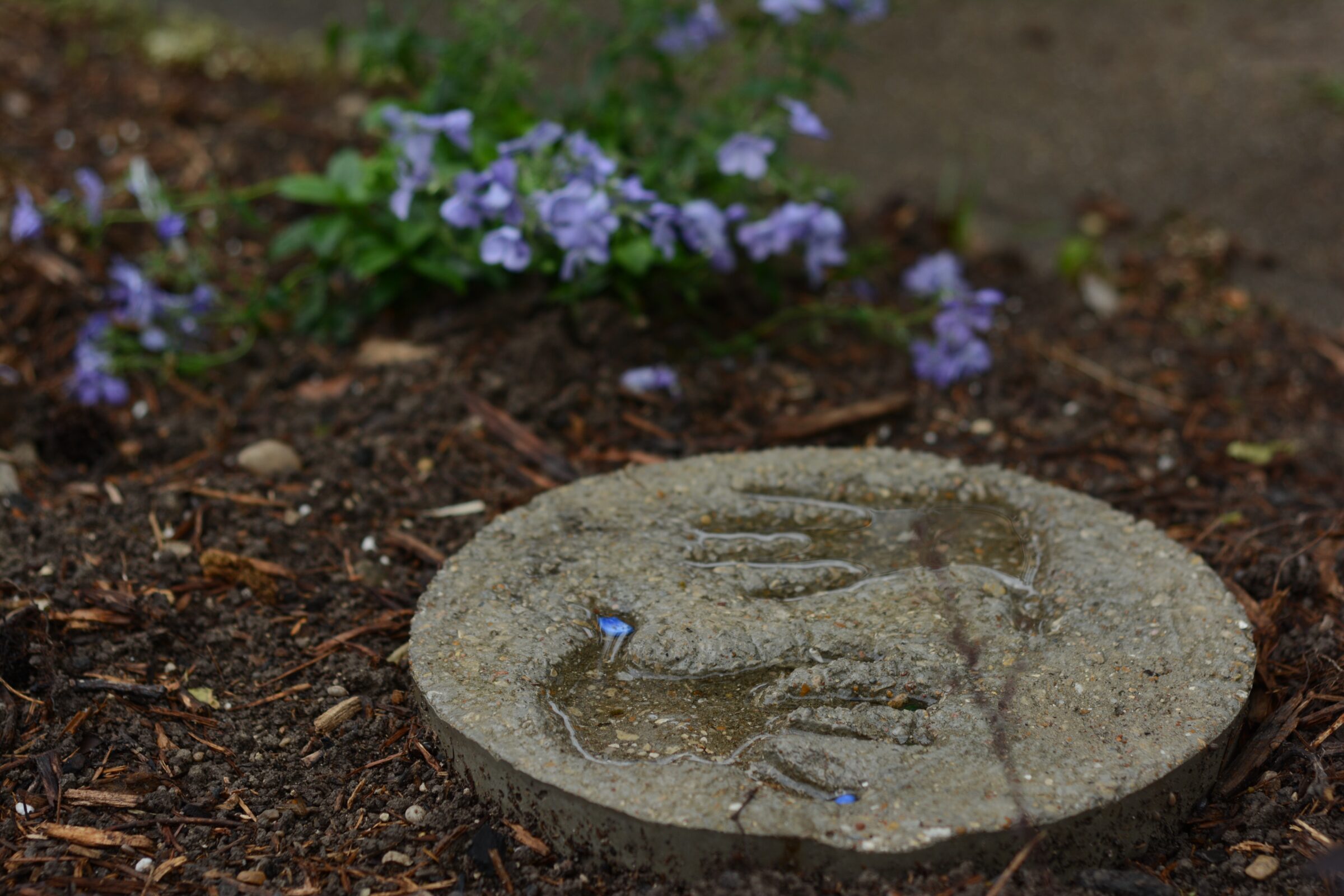 Child handprints in a concrete stepping stone.